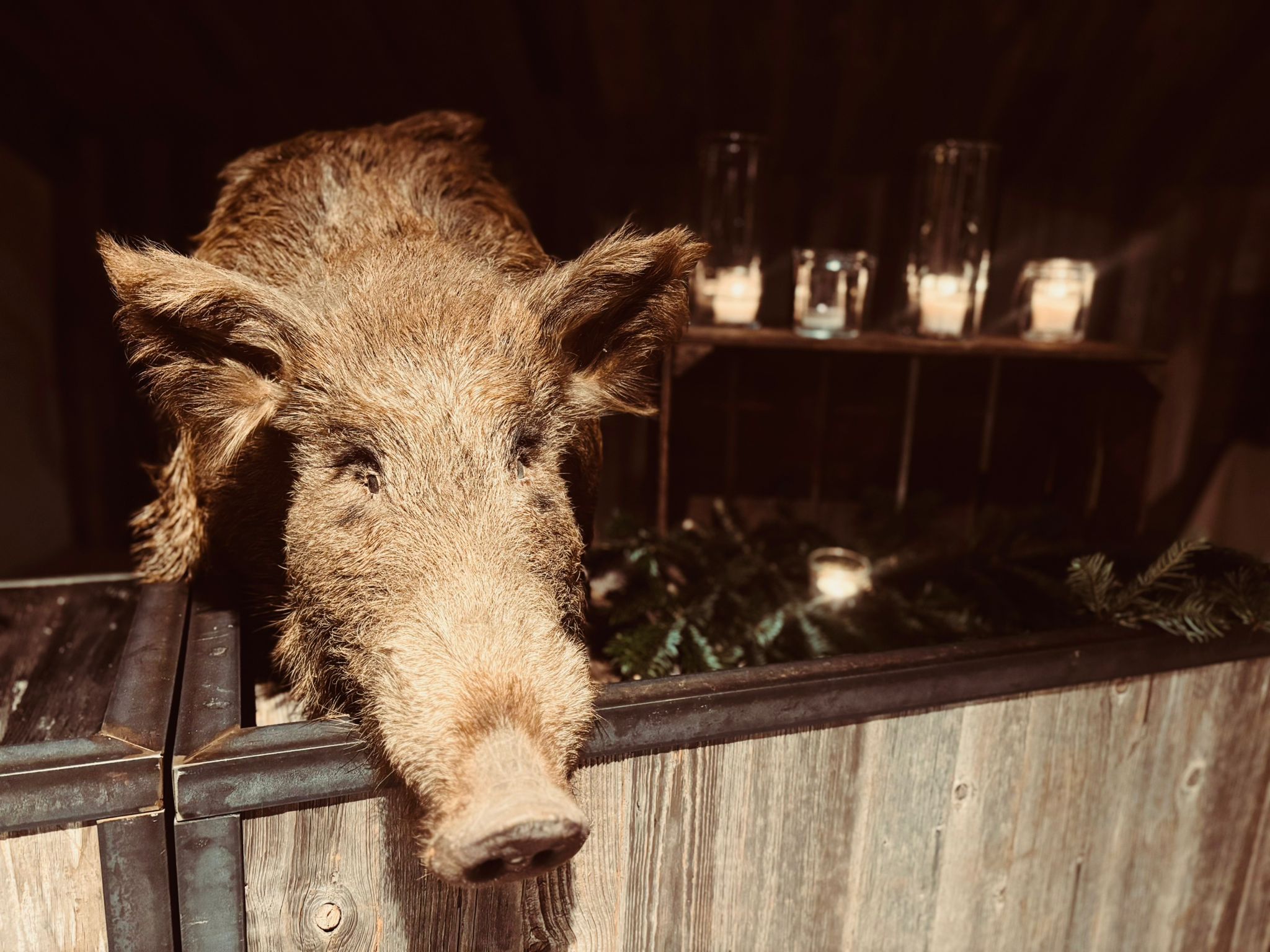 Nacht van de Jacht